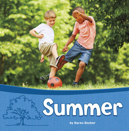 Book cover of Summer