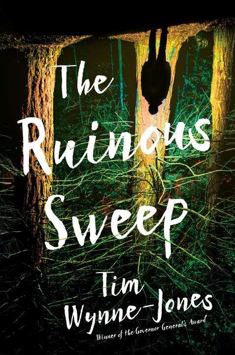 Book cover of The Ruinous Sweep