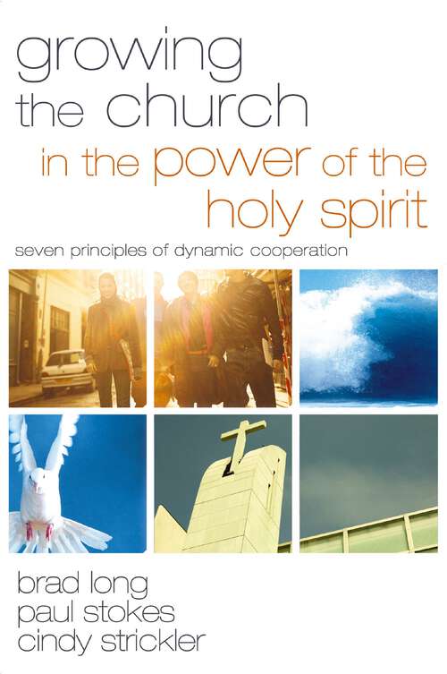 Book cover of Growing the Church in the Power of the Holy Spirit: Seven Principles of Dynamic Cooperation