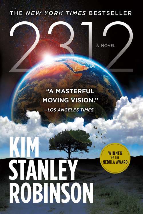 Book cover of 2312