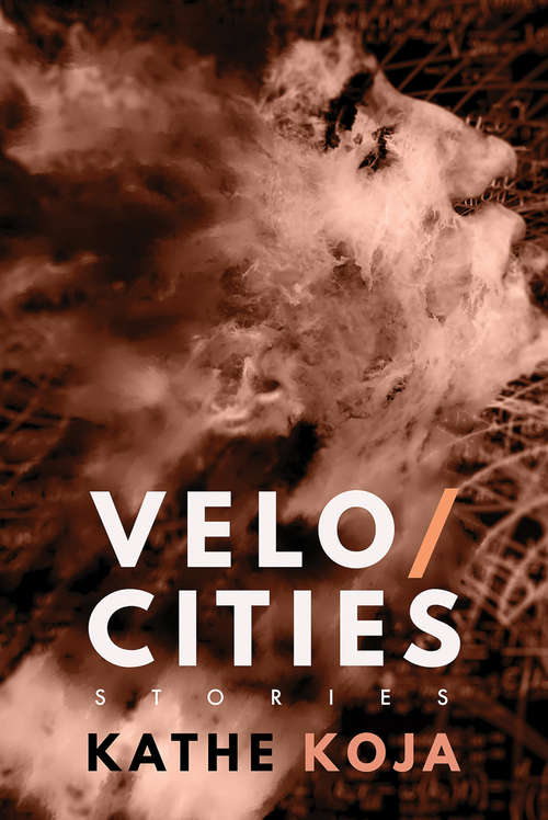 Book cover of Velocities: Stories