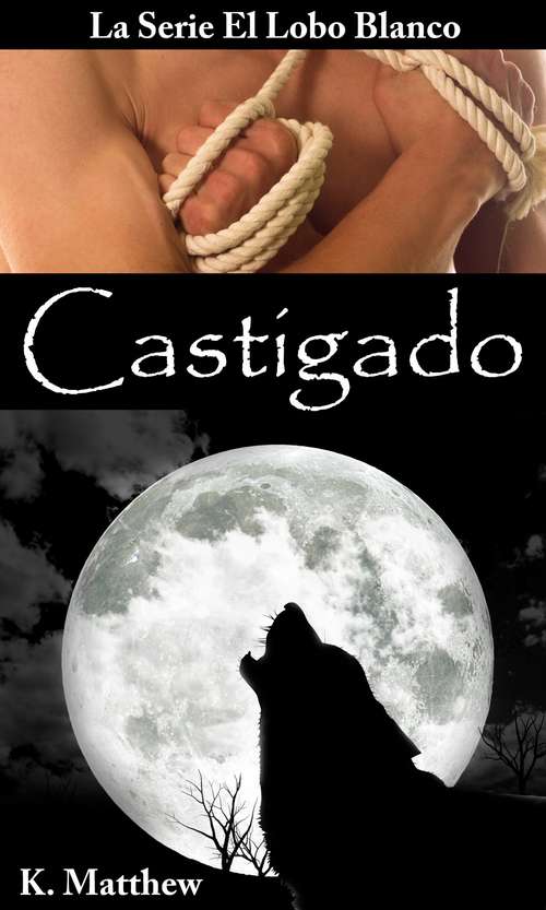 Book cover of Castigado
