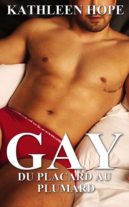 Book cover of Gay: Du placard au plumard