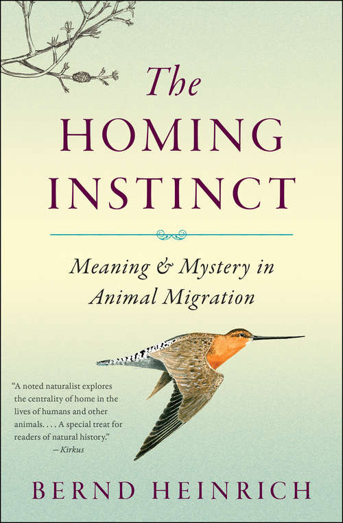 Book cover of The Homing Instinct: Meaning & Mystery in Animal Migration