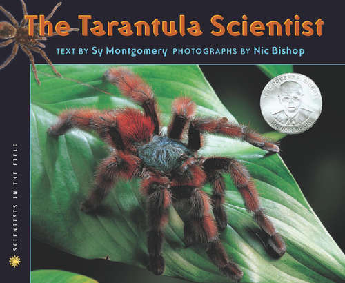 Book cover of The Tarantula Scientist (Scientists in the Field Series)