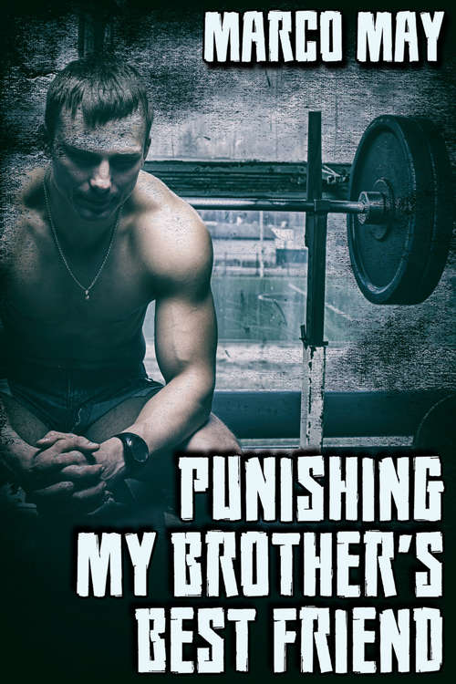 Book cover of Punishing My Brother's Best Friend