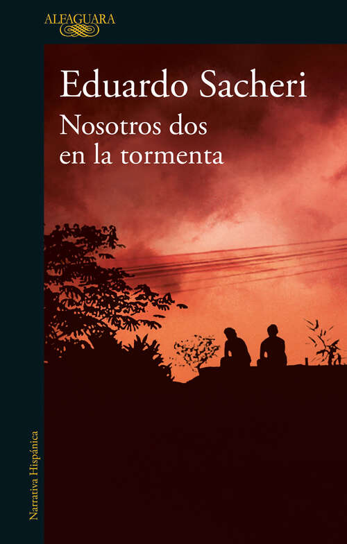 Book cover of Nosotros dos en la tormenta