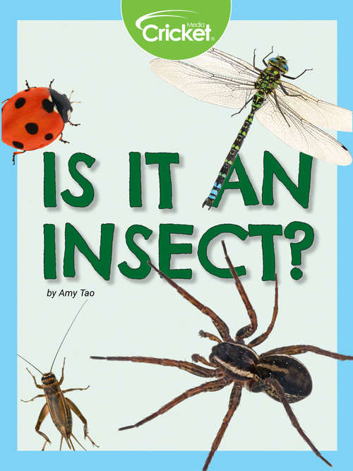 Book cover of Is It an Insect?