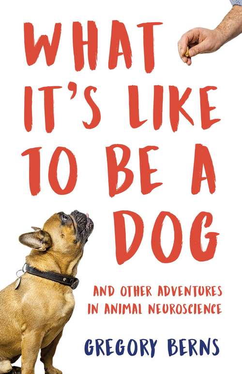 Book cover of What It's Like to Be a Dog: And Other Adventures in Animal Neuroscience