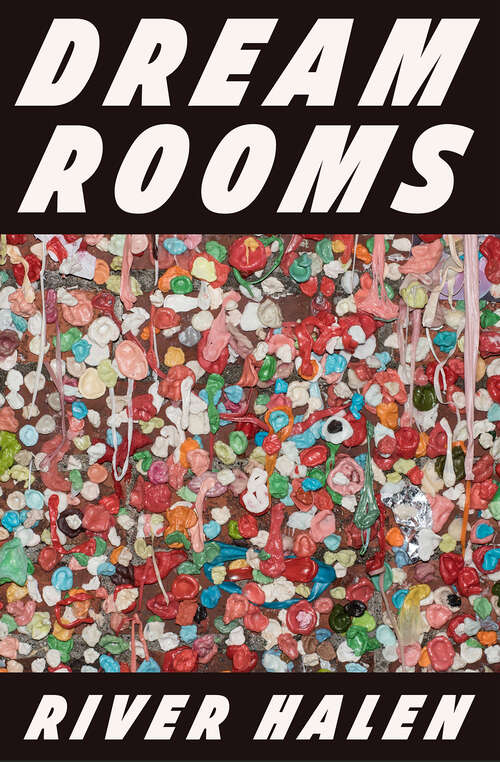 Book cover of Dream Rooms