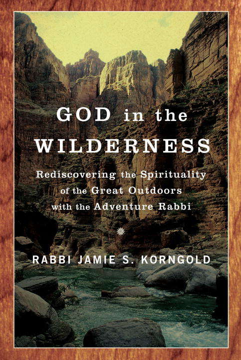 Book cover of God in the Wilderness