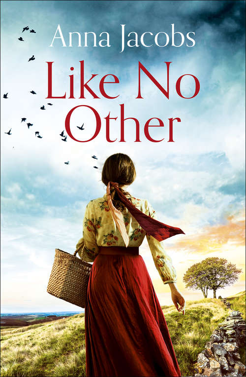 Book cover of Like No Other