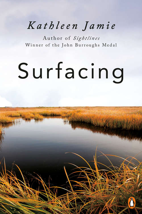 Book cover of Surfacing