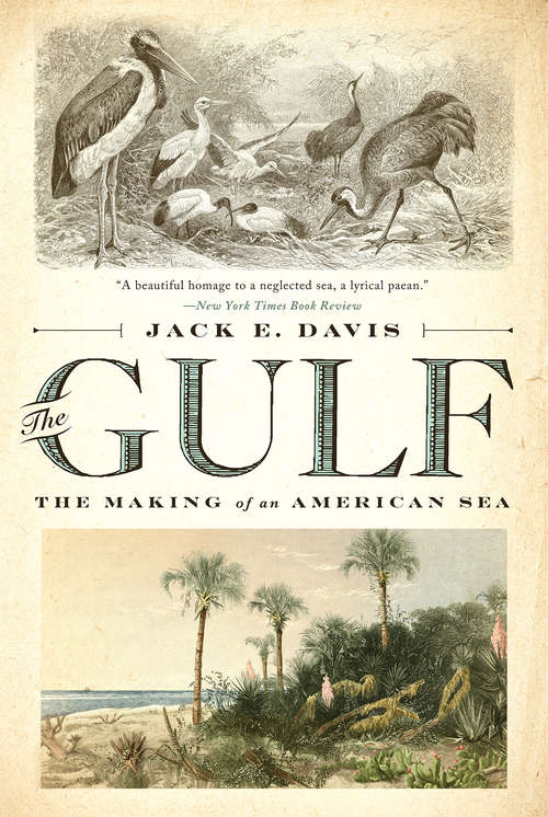 Book cover of The Gulf: The Making of An American Sea