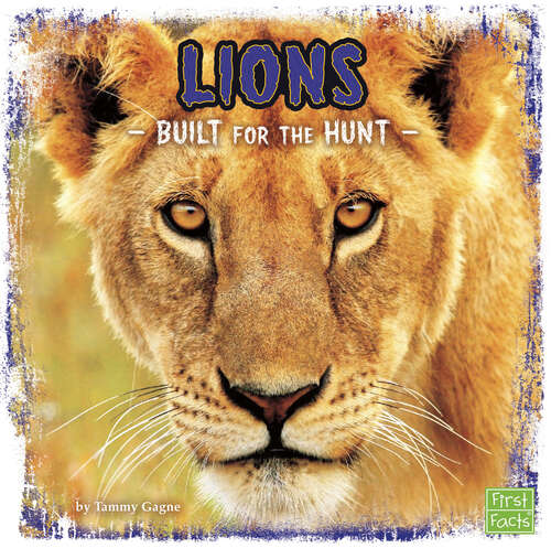 Book cover of Lions: Built For The Hunt (Predator Profiles Ser.)