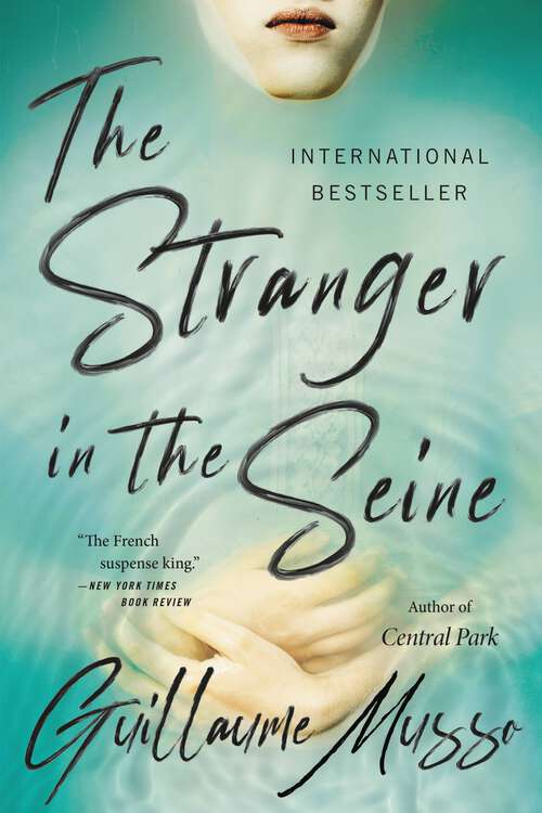 Book cover of The Stranger in the Seine: A Novel