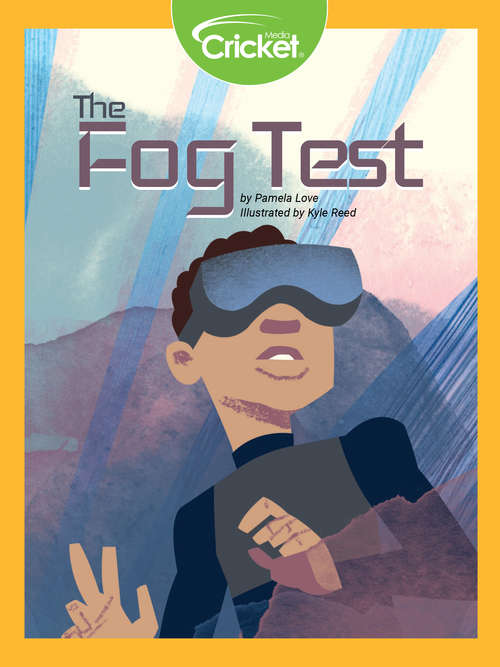 Book cover of The Fog Test