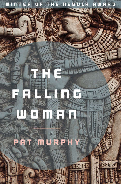 Book cover of The Falling Woman (Fantasy Masterworks Ser.)