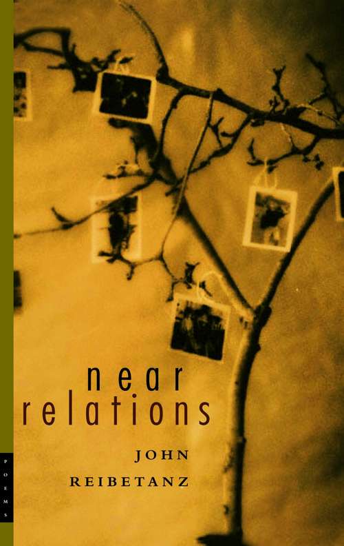 Book cover of Near Relations: Poems