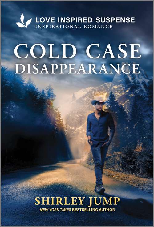 Book cover of Cold Case Disappearance (Original)