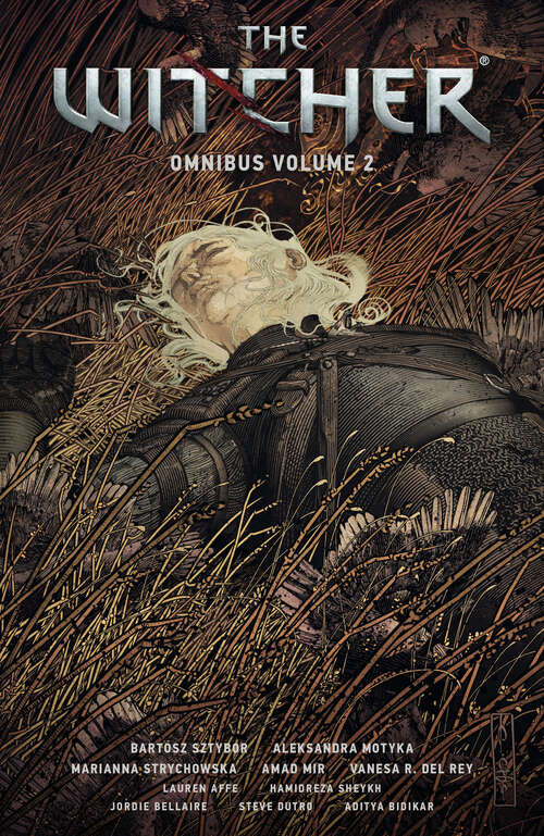 Book cover of The Witcher Omnibus Volume 2