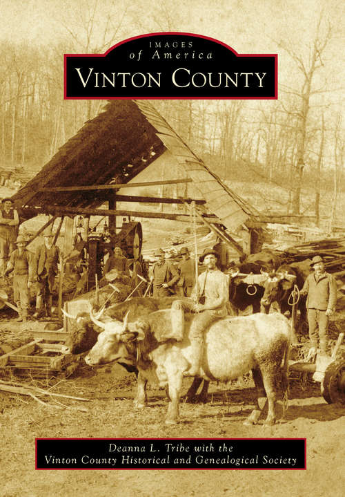 Book cover of Vinton County