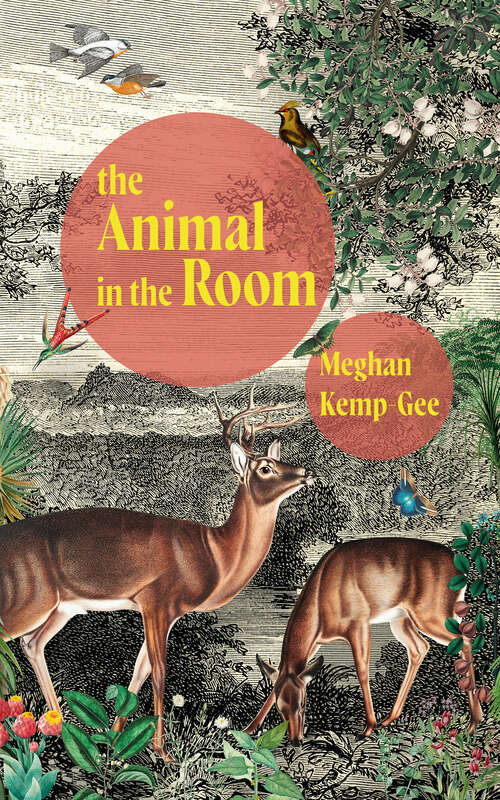 Book cover of The Animal in the Room