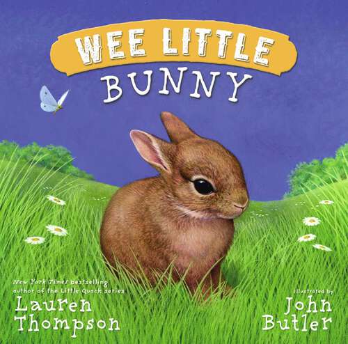 Book cover of Wee Little Bunny (Wee Little)