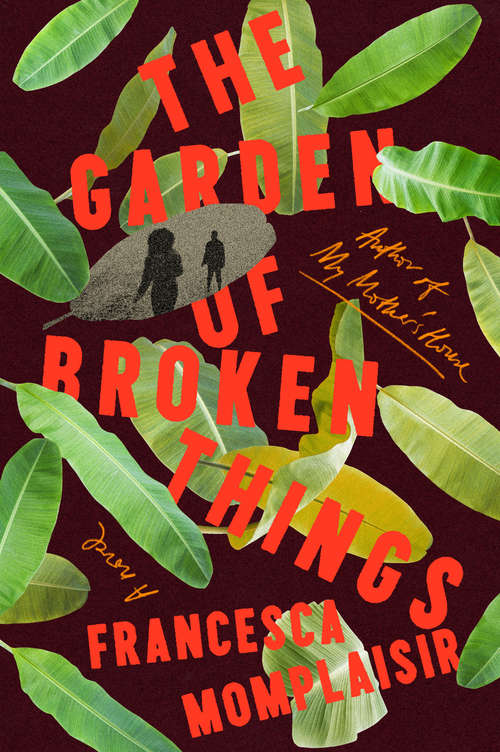 Book cover of The Garden of Broken Things: A novel