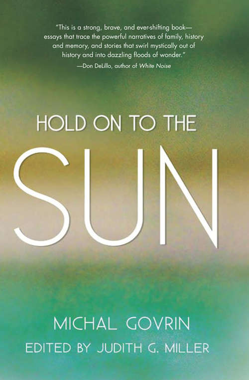 Book cover of Hold on to the Sun