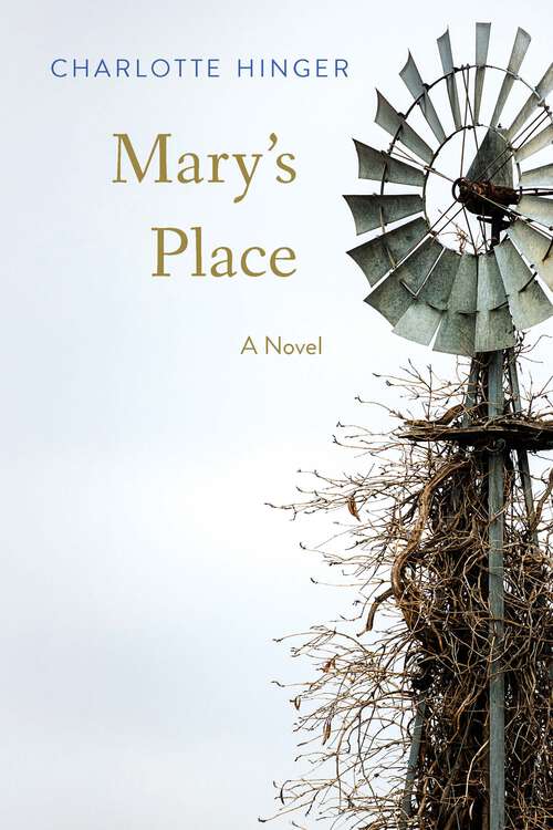 Book cover of Mary's Place: A Novel