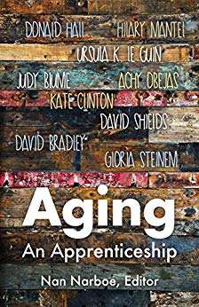 Book cover of Aging An Apprenticeship