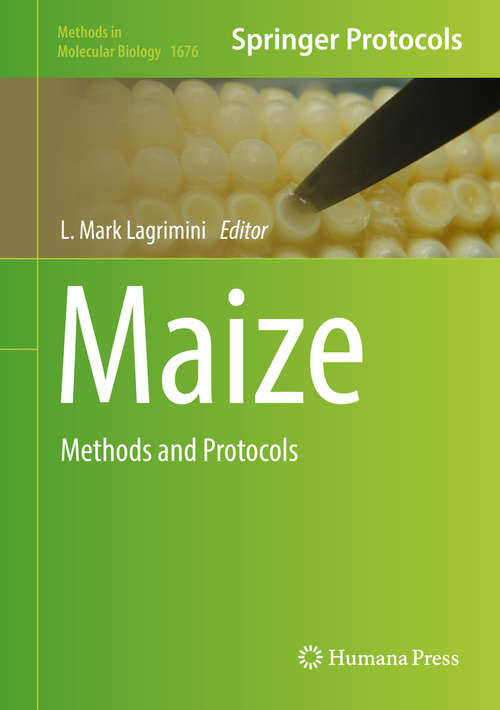 Book cover of Maize