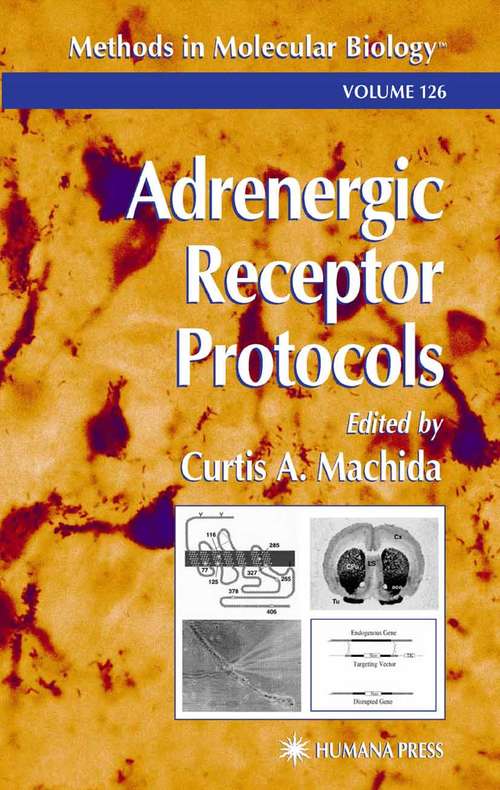 Book cover of Adrenergic Receptor Protocols (Methods in Molecular Biology #126)