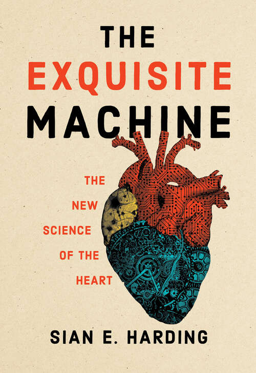 Book cover of The Exquisite Machine: The New Science of the Heart