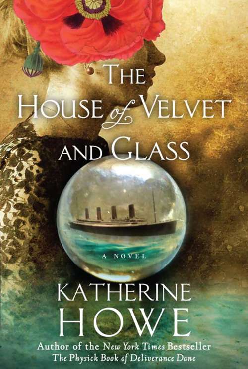 Book cover of The House of Velvet and Glass