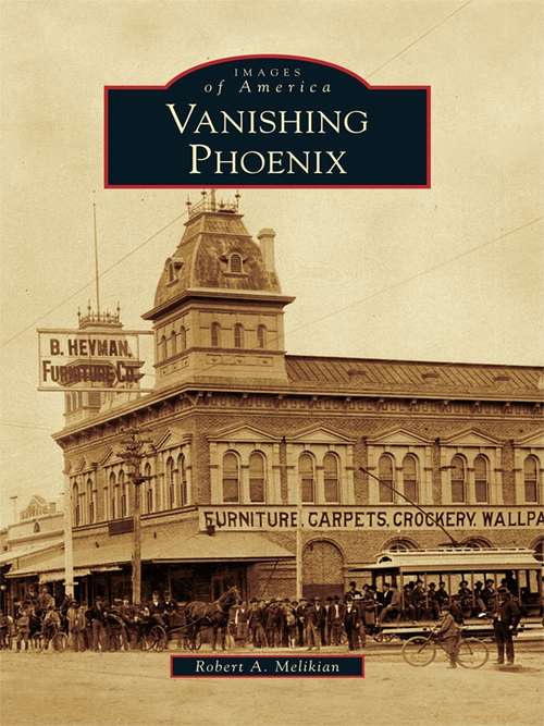 Book cover of Vanishing Phoenix