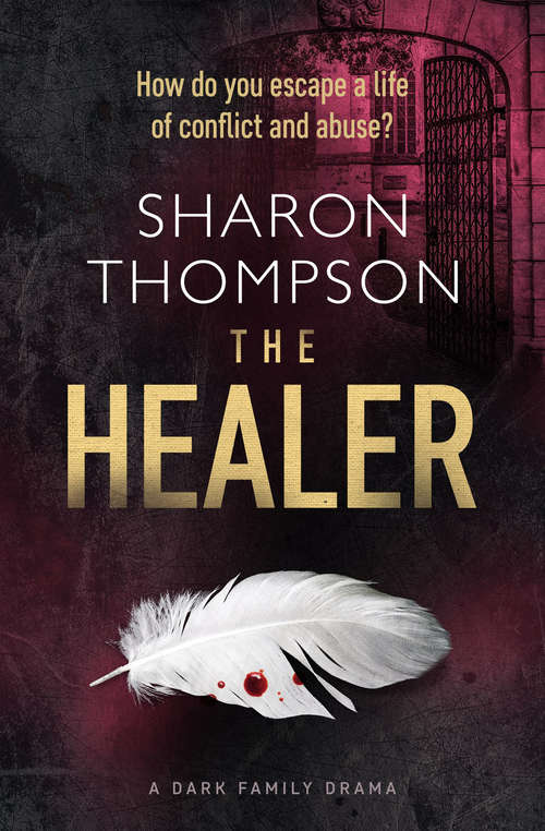 Book cover of The Healer: A Dark Family Drama