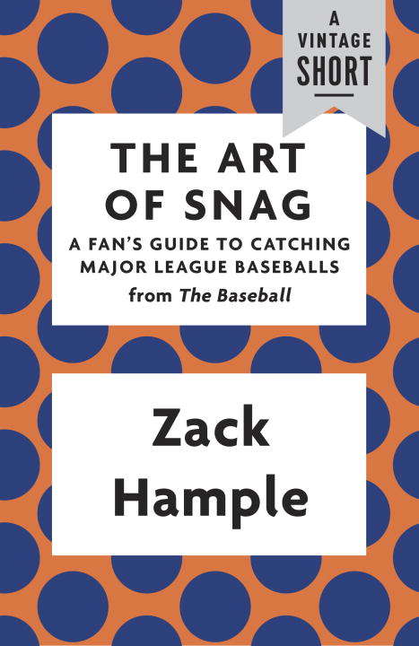 Book cover of The Art of Snag