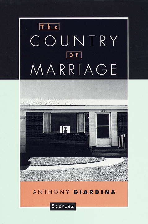 Book cover of Country of a Marriage: Stories