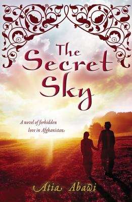 Book cover of The Secret Sky