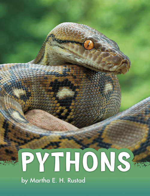Book cover of Pythons (Animals)