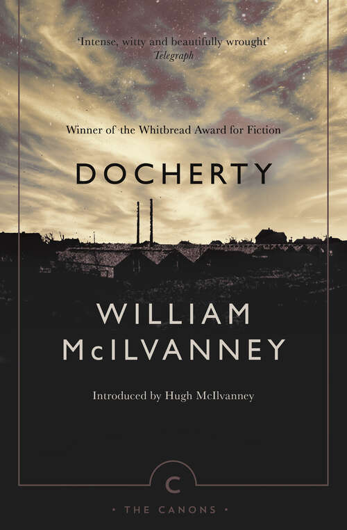 Book cover of Docherty (Canons #53)