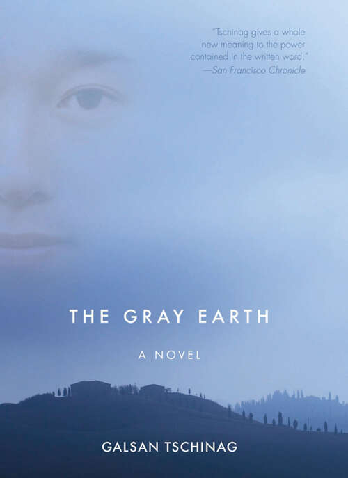 Book cover of The Gray Earth: A Novel