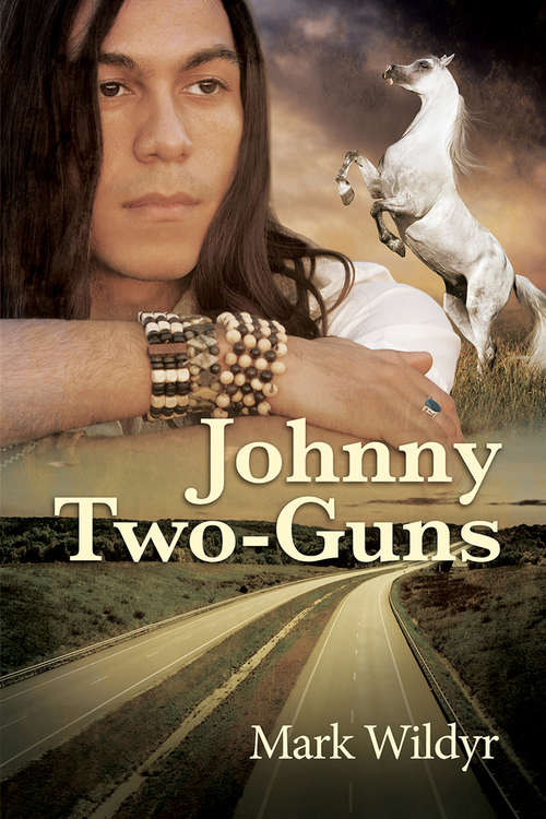 Book cover of Johnny Two-Guns