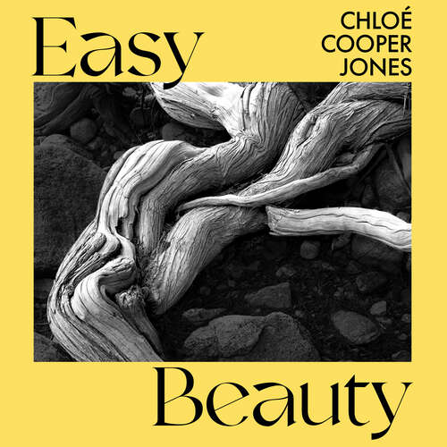 Book cover of Easy Beauty