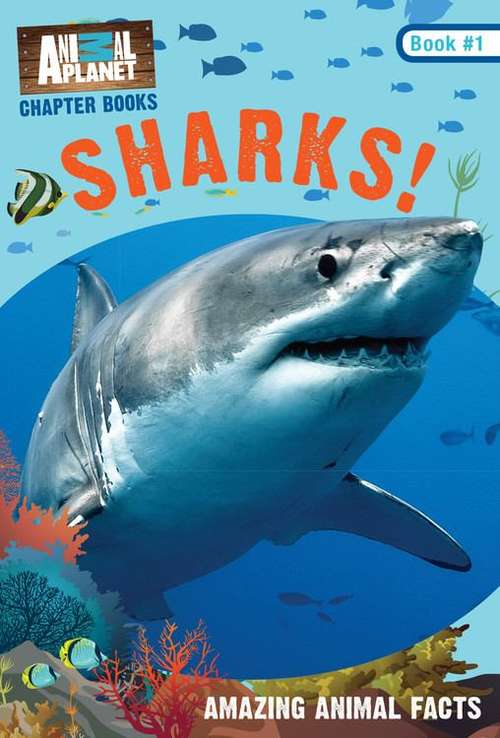 Book cover of Sharks!