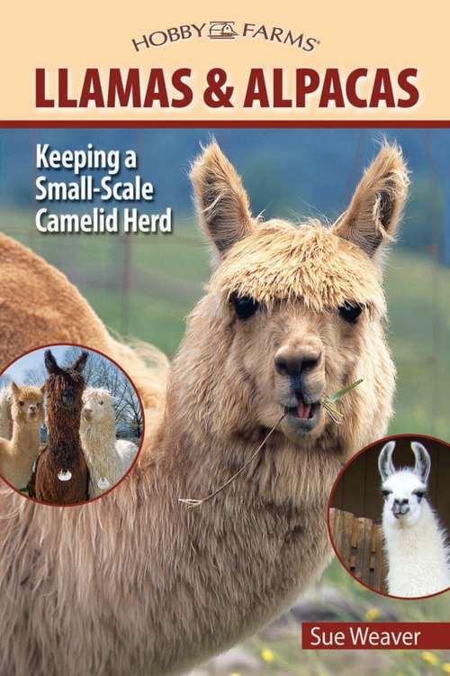 Book cover of Llamas and Alpacas