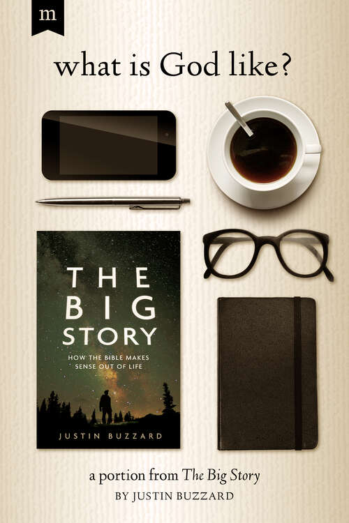 Book cover of What is God Like?: A Portion from The Big Story (Digital Original)