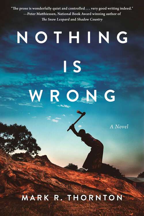 Book cover of Nothing Is Wrong: A Novel
